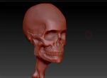 Zbrush小样雕刻